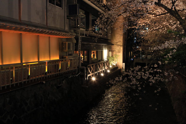 京都の桜_009